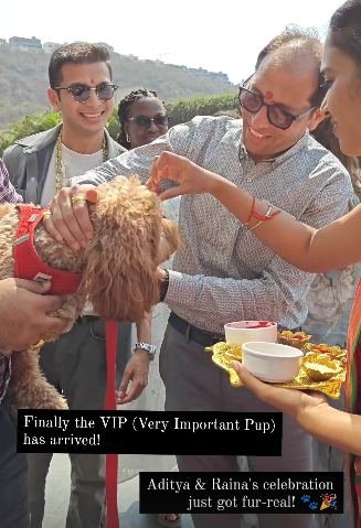 Live story of the family welcoming the couple's dog